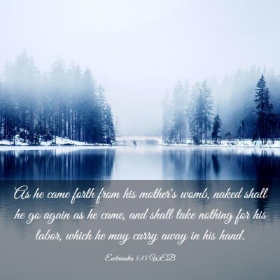 Picture 03 - Ecclesiastes 5:15 WEB - As he came forth from his mother's womb, naked - Bible Verse Picture