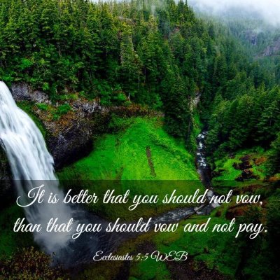 Picture 03 - Ecclesiastes 5:5 WEB - It is better that you should not vow, than that - Bible Verse Picture