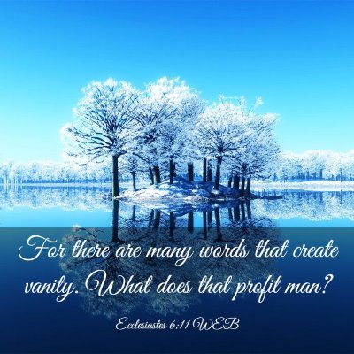Picture 03 - Ecclesiastes 6:11 WEB - For there are many words that create vanity. What - Bible Verse Picture
