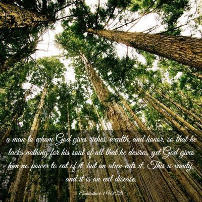 Picture 03 - Ecclesiastes 6:2 WEB - a man to whom God gives riches, wealth, and - Bible Verse Picture