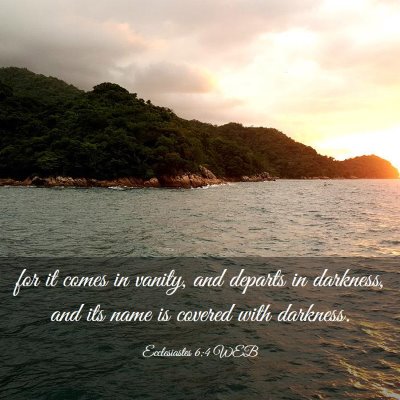 Picture 03 - Ecclesiastes 6:4 WEB - for it comes in vanity, and departs in darkness, - Bible Verse Picture