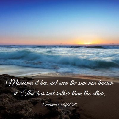 Picture 03 - Ecclesiastes 6:5 WEB - Moreover it has not seen the sun nor known it. - Bible Verse Picture