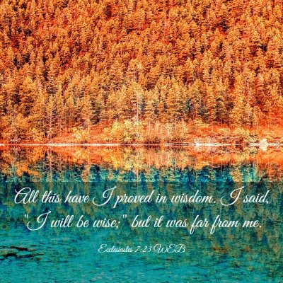 Picture 03 - Ecclesiastes 7:23 WEB - All this have I proved in wisdom. I said, 