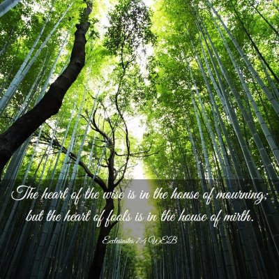 Picture 03 - Ecclesiastes 7:4 WEB - The heart of the wise is in the house of - Bible Verse Picture