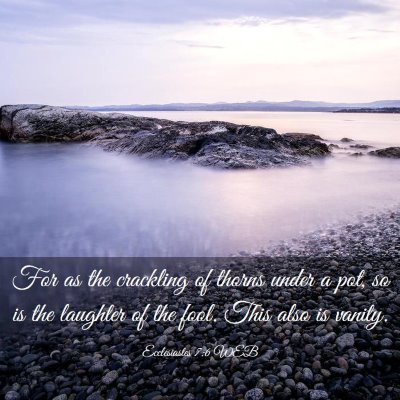 Picture 03 - Ecclesiastes 7:6 WEB - For as the crackling of thorns under a pot, so is - Bible Verse Picture
