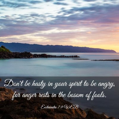 Picture 03 - Ecclesiastes 7:9 WEB - Don't be hasty in your spirit to be angry, for - Bible Verse Picture