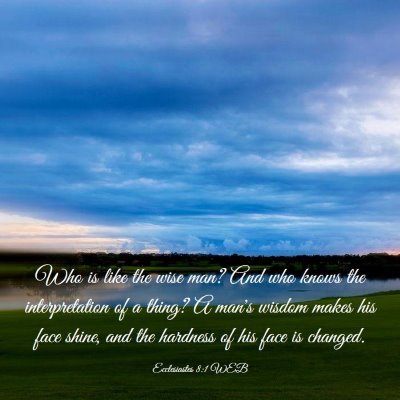 Picture 03 - Ecclesiastes 8:1 WEB - Who is like the wise man? And who knows the - Bible Verse Picture