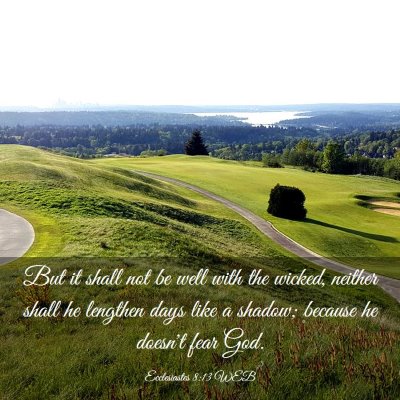 Picture 03 - Ecclesiastes 8:13 WEB - But it shall not be well with the wicked, neither - Bible Verse Picture