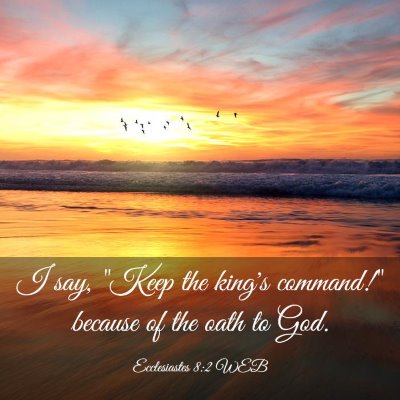 Picture 03 - Ecclesiastes 8:2 WEB - I say, 