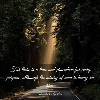 Picture 03 - Ecclesiastes 8:6 WEB - For there is a time and procedure for every - Bible Verse Picture
