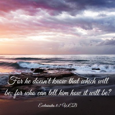 Picture 03 - Ecclesiastes 8:7 WEB - For he doesn't know that which will be; for who - Bible Verse Picture
