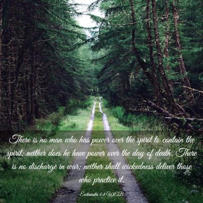Picture 03 - Ecclesiastes 8:8 WEB - There is no man who has power over the spirit to - Bible Verse Picture
