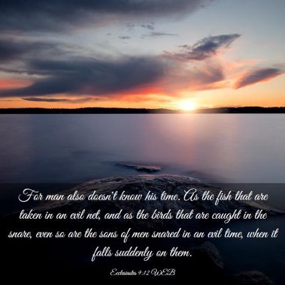Picture 03 - Ecclesiastes 9:12 WEB - For man also doesn't know his time. As the fish - Bible Verse Picture