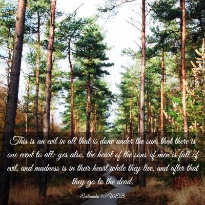 Picture 03 - Ecclesiastes 9:3 WEB - This is an evil in all that is done under the - Bible Verse Picture