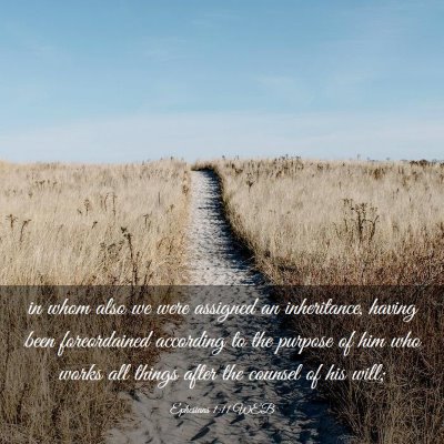 Picture 03 - Ephesians 1:11 WEB - in whom also we were assigned an inheritance, - Bible Verse Picture