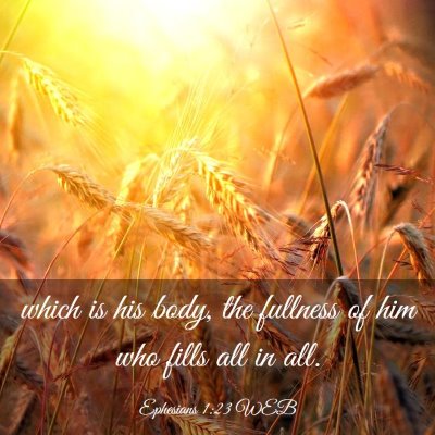 Picture 03 - Ephesians 1:23 WEB - which is his body, the fullness of him who fills - Bible Verse Picture