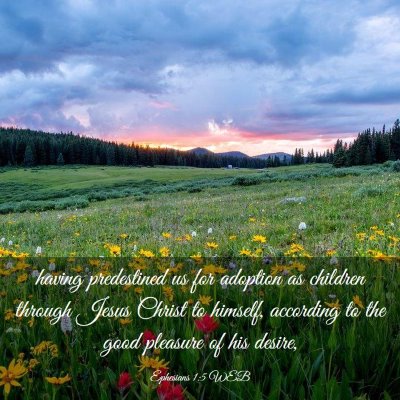 Picture 03 - Ephesians 1:5 WEB - having predestined us for adoption as children - Bible Verse Picture