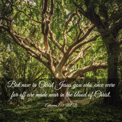 Picture 03 - Ephesians 2:13 WEB - But now in Christ Jesus you who once were far off - Bible Verse Picture