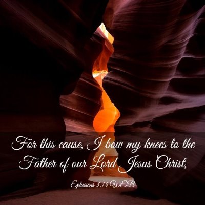 Picture 03 - Ephesians 3:14 WEB - For this cause, I bow my knees to the Father of - Bible Verse Picture