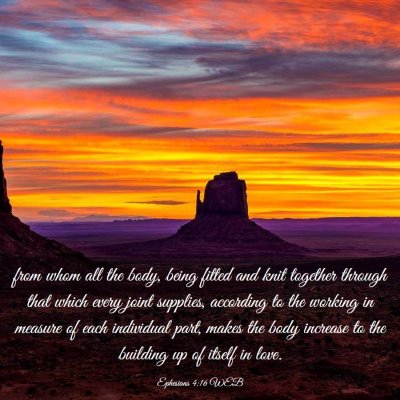 Picture 03 - Ephesians 4:16 WEB - from whom all the body, being fitted and knit - Bible Verse Picture