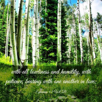 Picture 03 - Ephesians 4:2 WEB - with all lowliness and humility, with patience, - Bible Verse Picture