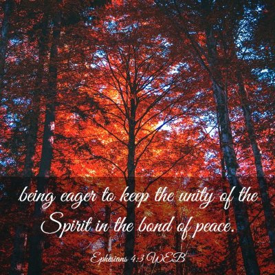 Picture 03 - Ephesians 4:3 WEB - being eager to keep the unity of the Spirit in - Bible Verse Picture