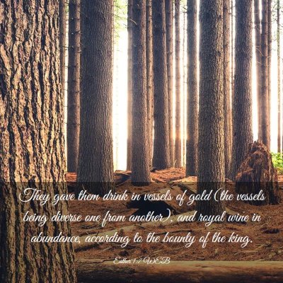 Picture 03 - Esther 1:7 WEB - They gave them drink in vessels of gold (the - Bible Verse Picture