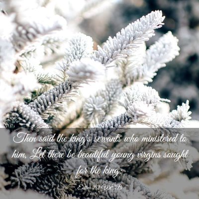 Picture 03 - Esther 2:2 WEB - Then said the king's servants who ministered to - Bible Verse Picture