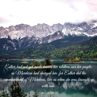 Picture 03 - Esther 2:20 WEB - Esther had not yet made known her relatives nor - Bible Verse Picture