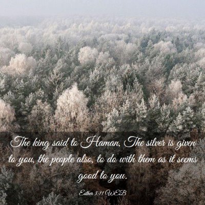 Picture 03 - Esther 3:11 WEB - The king said to Haman, The silver is given to - Bible Verse Picture