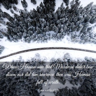 Picture 03 - Esther 3:5 WEB - When Haman saw that Mordecai didn't bow down, nor - Bible Verse Picture