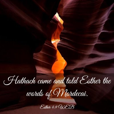 Picture 03 - Esther 4:9 WEB - Hathach came and told Esther the words of - Bible Verse Picture