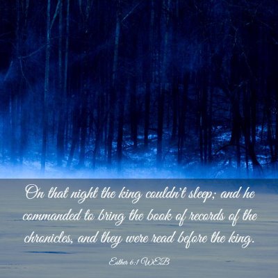 Picture 03 - Esther 6:1 WEB - On that night the king couldn't sleep; and he - Bible Verse Picture