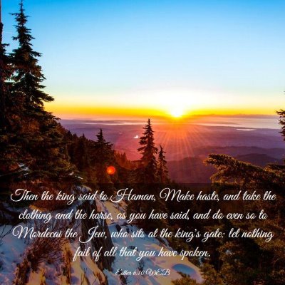 Picture 03 - Esther 6:10 WEB - Then the king said to Haman, Make haste, and take - Bible Verse Picture