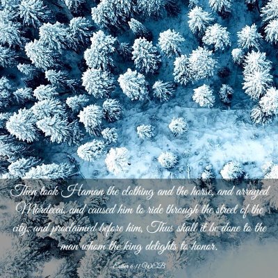 Picture 03 - Esther 6:11 WEB - Then took Haman the clothing and the horse, and - Bible Verse Picture