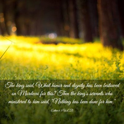 Picture 03 - Esther 6:3 WEB - The king said, What honor and dignity has been - Bible Verse Picture