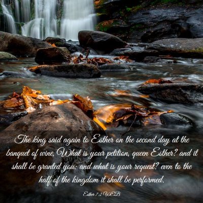 Picture 03 - Esther 7:2 WEB - The king said again to Esther on the second day - Bible Verse Picture