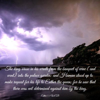 Picture 03 - Esther 7:7 WEB - The king arose in his wrath from the banquet of - Bible Verse Picture