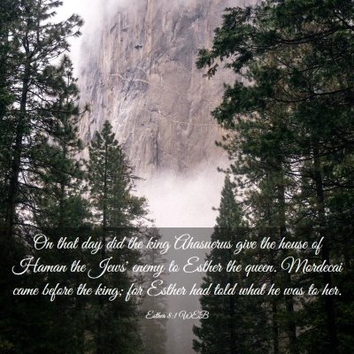 Picture 03 - Esther 8:1 WEB - On that day did the king Ahasuerus give the house - Bible Verse Picture