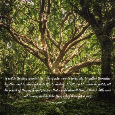 Picture 03 - Esther 8:11 WEB - in which the king granted the Jews who were in - Bible Verse Picture
