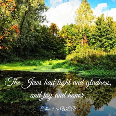 Picture 03 - Esther 8:16 WEB - The Jews had light and gladness, and joy and - Bible Verse Picture