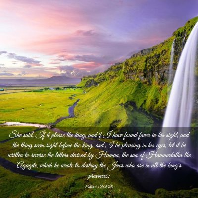 Picture 03 - Esther 8:5 WEB - She said, If it please the king, and if I have - Bible Verse Picture