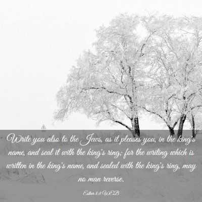 Picture 03 - Esther 8:8 WEB - Write you also to the Jews, as it pleases you, in - Bible Verse Picture