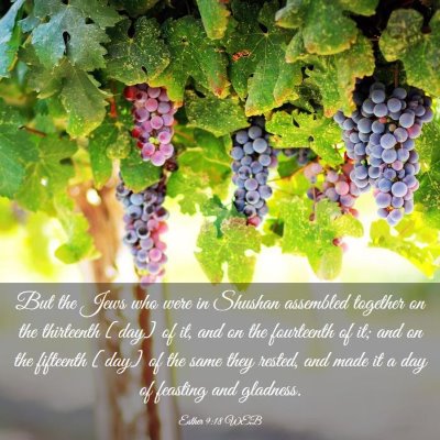 Picture 03 - Esther 9:18 WEB - But the Jews who were in Shushan assembled - Bible Verse Picture
