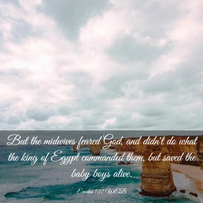 Picture 03 - Exodus 1:17 WEB - But the midwives feared God, and didn't do what - Bible Verse Picture