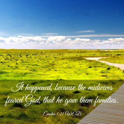 Picture 03 - Exodus 1:21 WEB - It happened, because the midwives feared God, - Bible Verse Picture