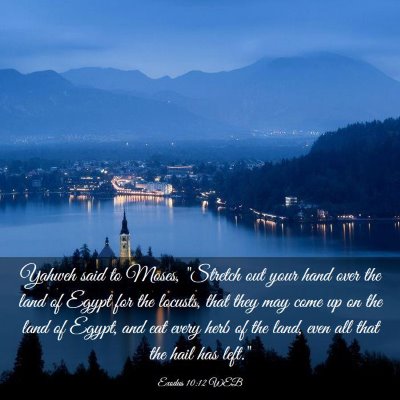 Picture 03 - Exodus 10:12 WEB - Yahweh said to Moses,