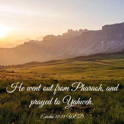 Picture 03 - Exodus 10:18 WEB - He went out from Pharaoh, and prayed to - Bible Verse Picture