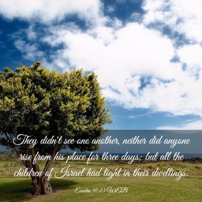 Picture 03 - Exodus 10:23 WEB - They didn't see one another, neither did anyone - Bible Verse Picture