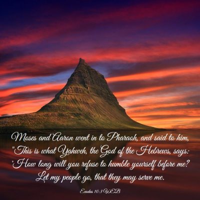 Picture 03 - Exodus 10:3 WEB - Moses and Aaron went in to Pharaoh, and said to - Bible Verse Picture